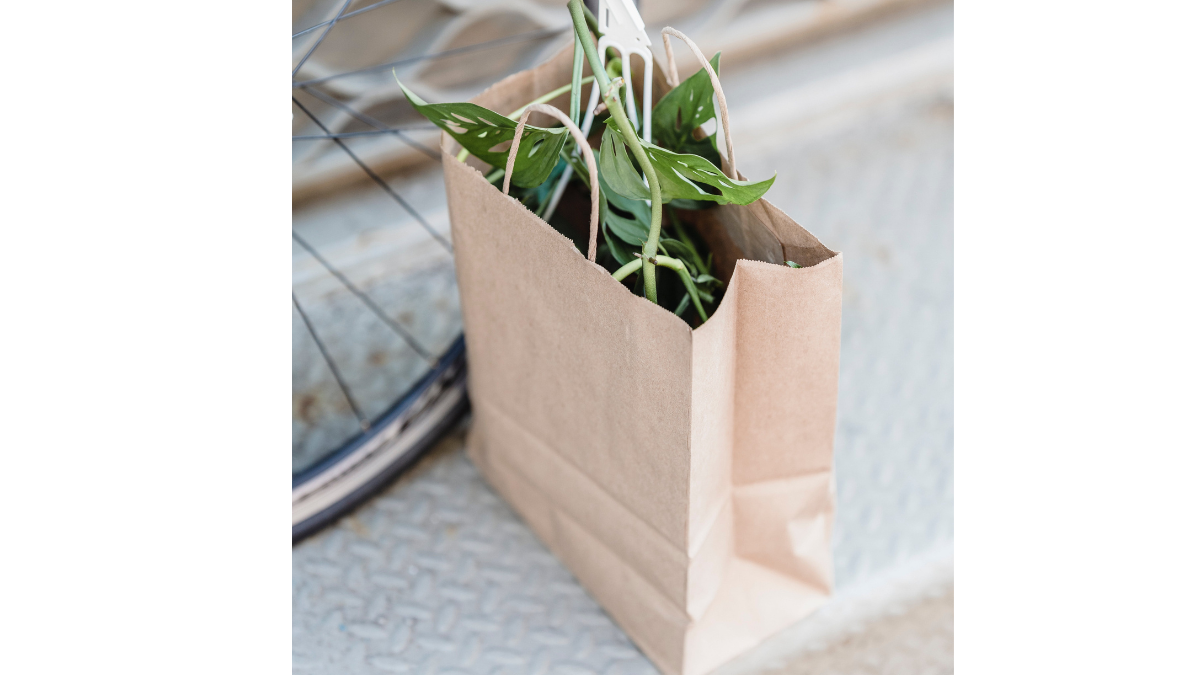 Decoding Eco-Friendly Bags: Paper vs. Plastic – 10 Points Decoding the Superior Choice