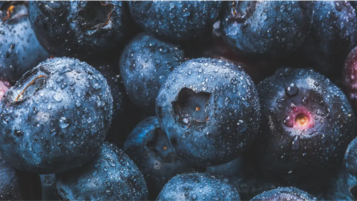 Blueberry : Exploring 10 Health Benefits, Nutritional  Value, and Global Growth of the Superfruit