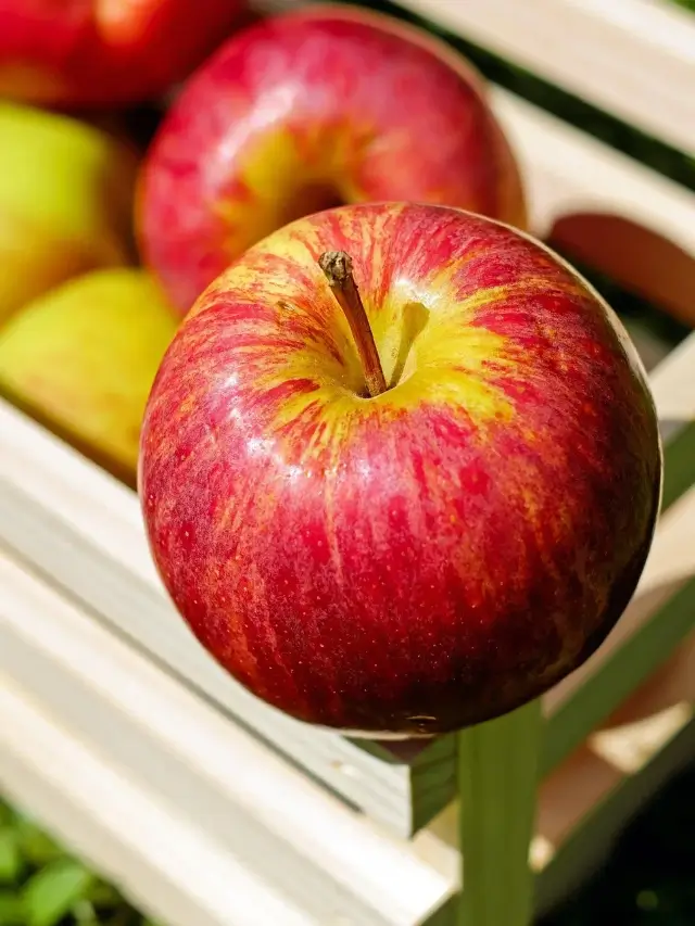 Apple Every Day Can Boost Your Health