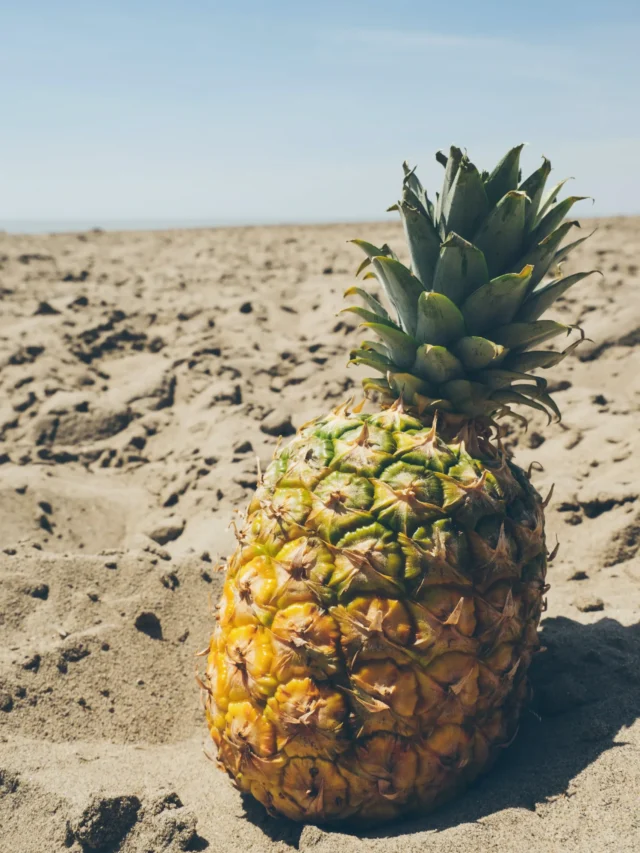 Health Benefit Of Pineapple Diet