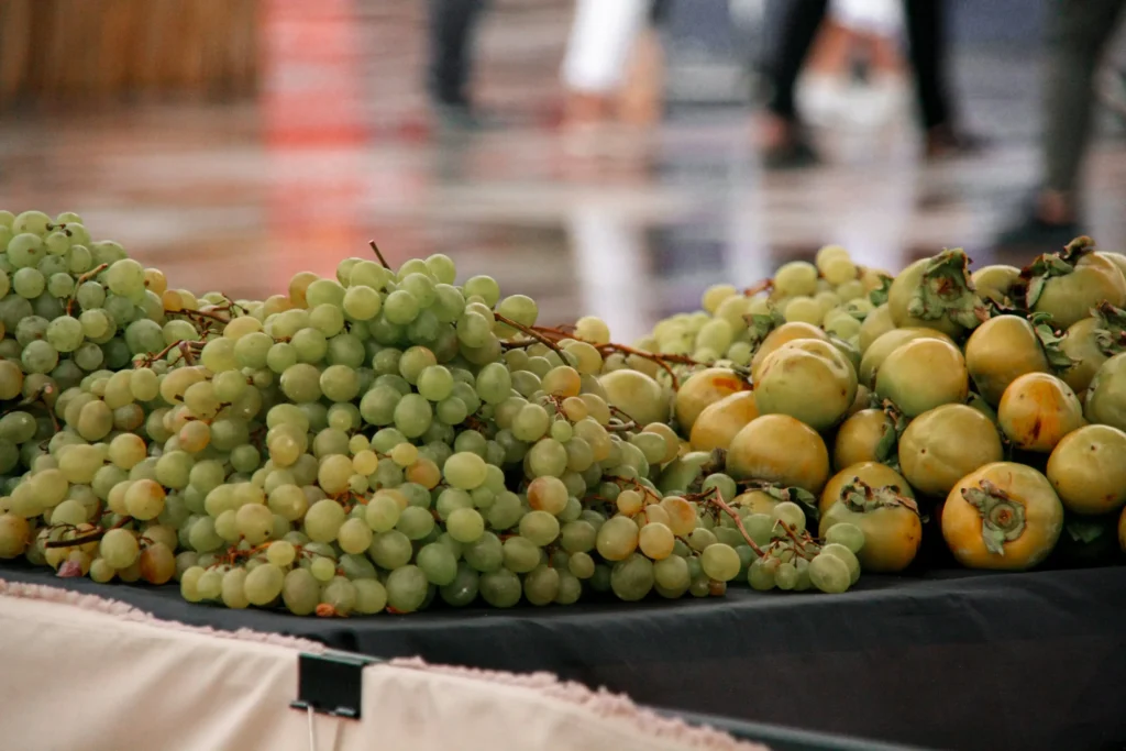 The Health Marvels of Grapes: Types, Growing Regions, and India’s Bounty